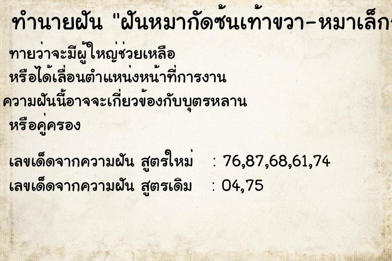 ทำนายฝันฝันหมากัดซ้นเท้าขวา-หมาเล็กกัดนิ้วชี้ขวา ทำนายฝันทำนายฝันฝันหมากัดซ้นเท้าขวา-หมาเล็กกัดนิ้วชี้ขวา