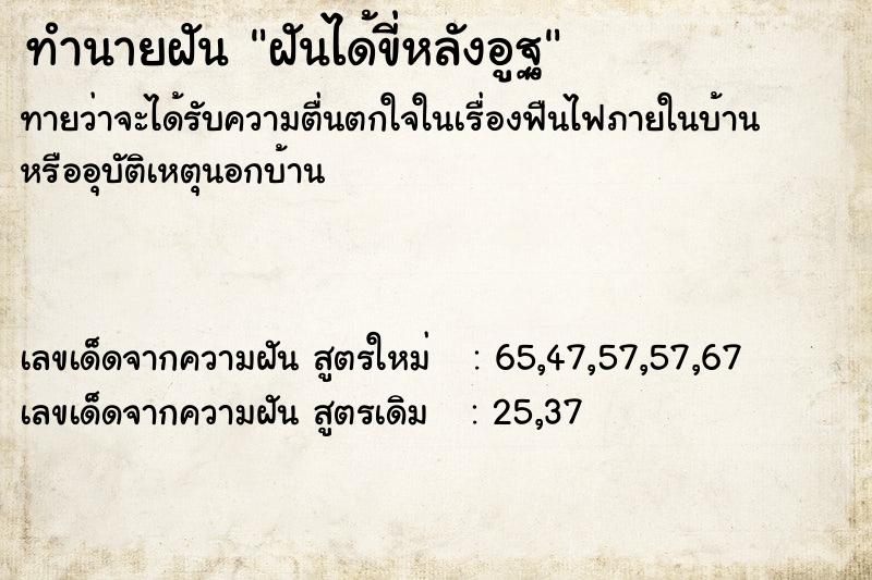 ทำนายฝันฝันได้ขี่หลังอูฐ ทำนายฝันทำนายฝันฝันได้ขี่หลังอูฐ