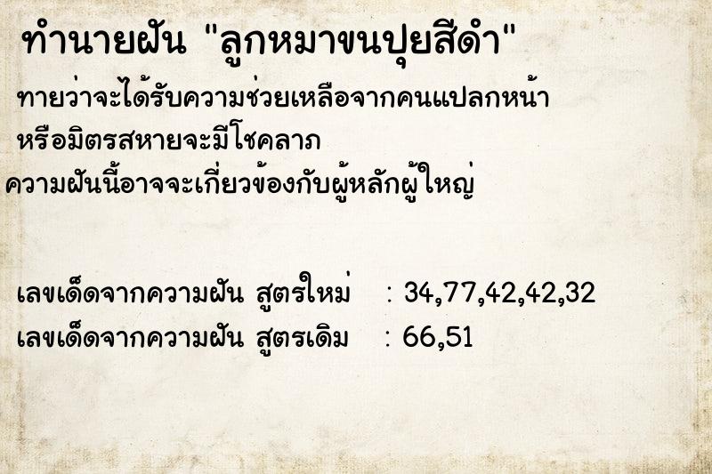 ทำนายฝัน ลูกหมาขนปุยสีดำ