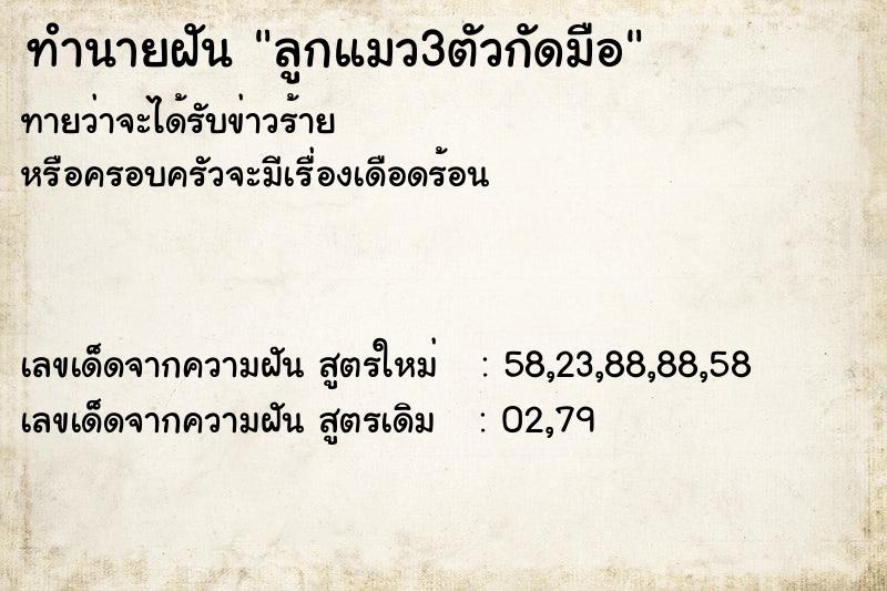 ทำนายฝันทำนายฝันลูกแมว3ตัวกัดมือ