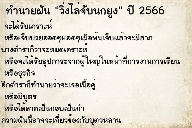 ทำนายฝันทำนายฝันวิ่งไล่จับนกยูง