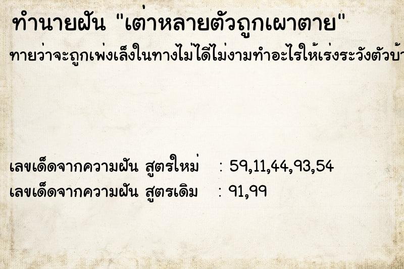ทำนายฝันทำนายฝันเต่าหลายตัวถูกเผาตาย