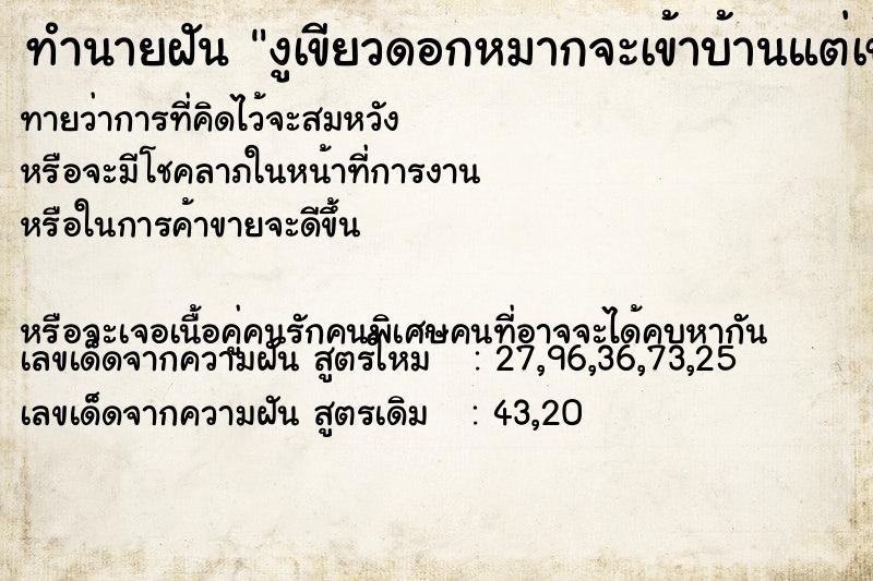 ทำนายฝันทำนายฝันงูเขียวดอกหมากจะเข้าบ้านแต่เข้าไม่ได้ติดมุ้งลวด