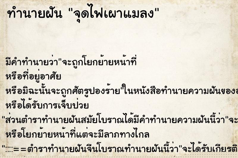 ทำนายฝัน จุดไฟเผาแมลง ทำนายฝัน จุดไฟเผาแมลง