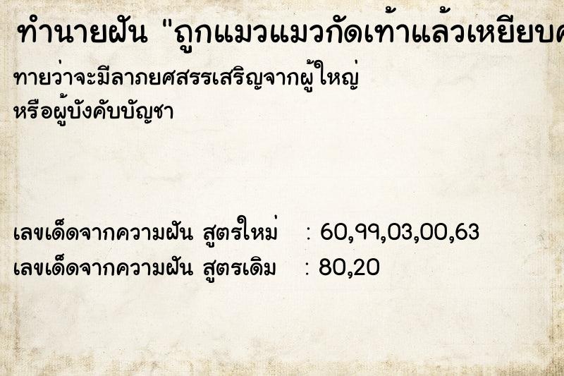 ทำนายฝันถูกแมวแมวกัดเท้าแล้วเหยียบคอแมวจนเลือดออกตาย ทำนายฝันทำนายฝันถูกแมวแมวกัดเท้าแล้วเหยียบคอแมวจนเลือดออกตาย