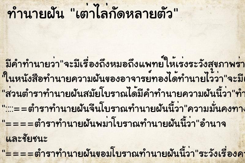 ทำนายฝันเต่าไล่กัดหลายตัว ทำนายฝันทำนายฝันเต่าไล่กัดหลายตัว