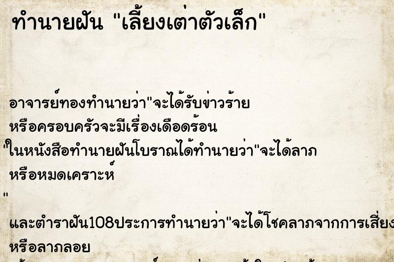 ทำนายฝัน เลี้ยงเต่าตัวเล็ก ทำนายฝัน เลี้ยงเต่าตัวเล็ก