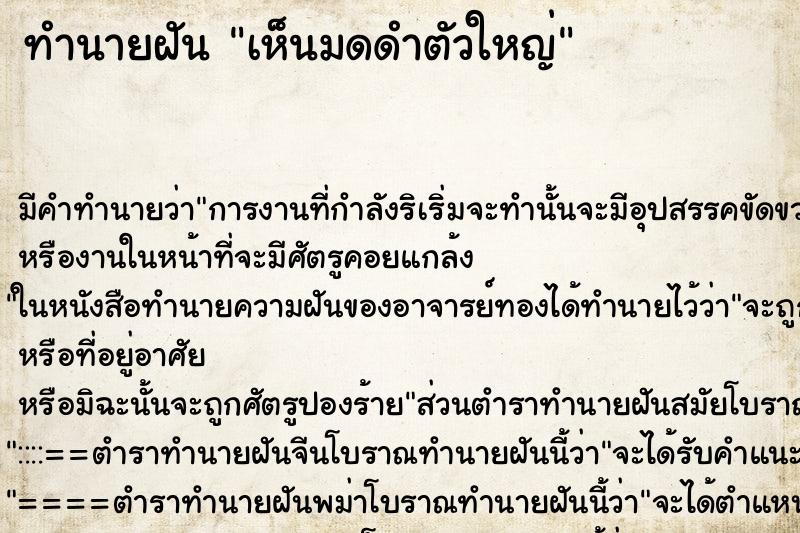 ทำนายฝันเห็นมดดำตัวใหญ่ ทำนายฝันทำนายฝันเห็นมดดำตัวใหญ่