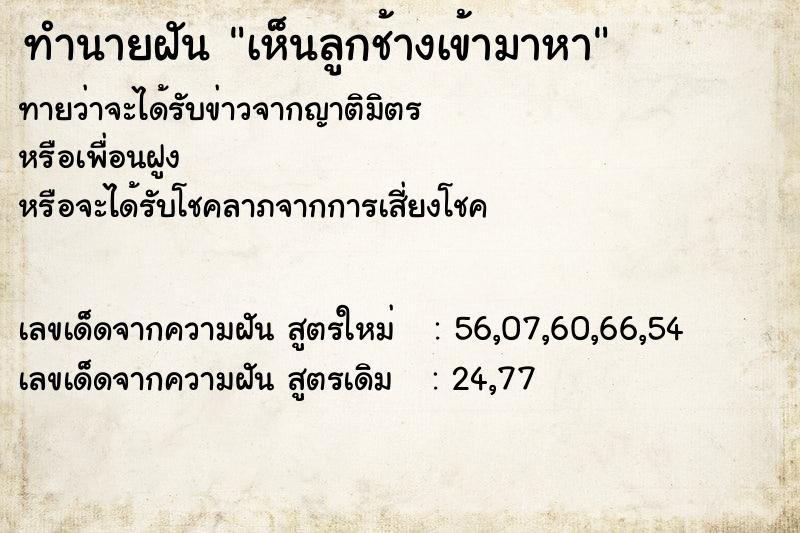 ทำนายฝันทำนายฝันเห็นลูกช้างเข้ามาหา
