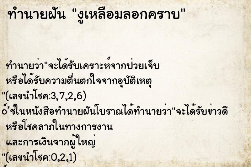 ทำนายฝัน งูเหลือมลอกคราบ ทำนายฝัน งูเหลือมลอกคราบ