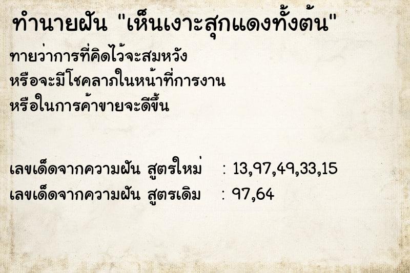 ทำนายฝันเห็นเงาะสุกแดงทั้งต้น ทำนายฝันทำนายฝันเห็นเงาะสุกแดงทั้งต้น