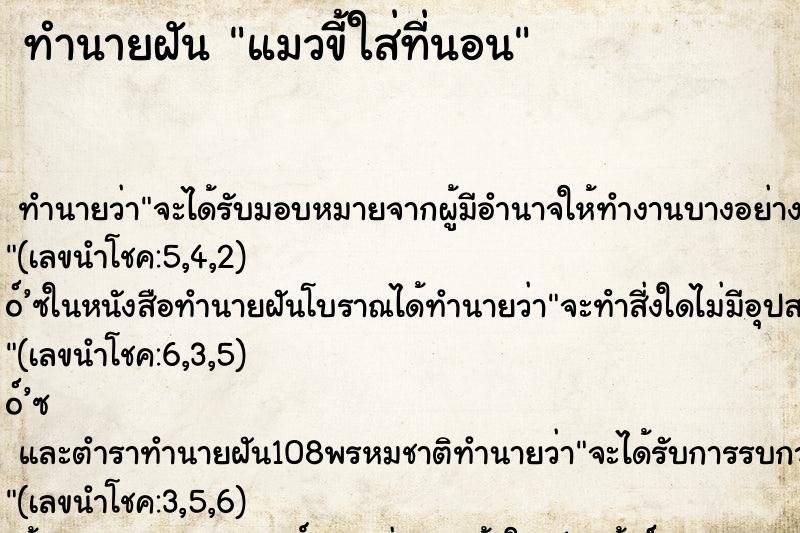 ทำนายฝัน แมวขี้ใส่ที่นอน ทำนายฝัน แมวขี้ใส่ที่นอน