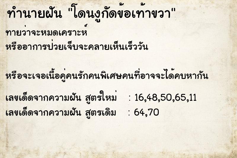 ทำนายฝันทำนายฝันโดนงูกัดข้อเท้าขวา