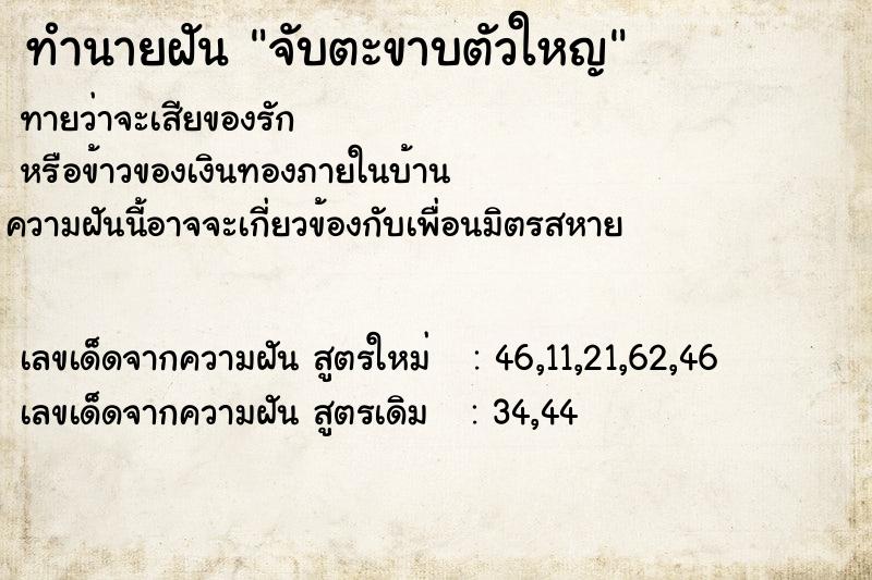 ทำนายฝันจับตะขาบตัวใหญ ทำนายฝันทำนายฝันจับตะขาบตัวใหญ