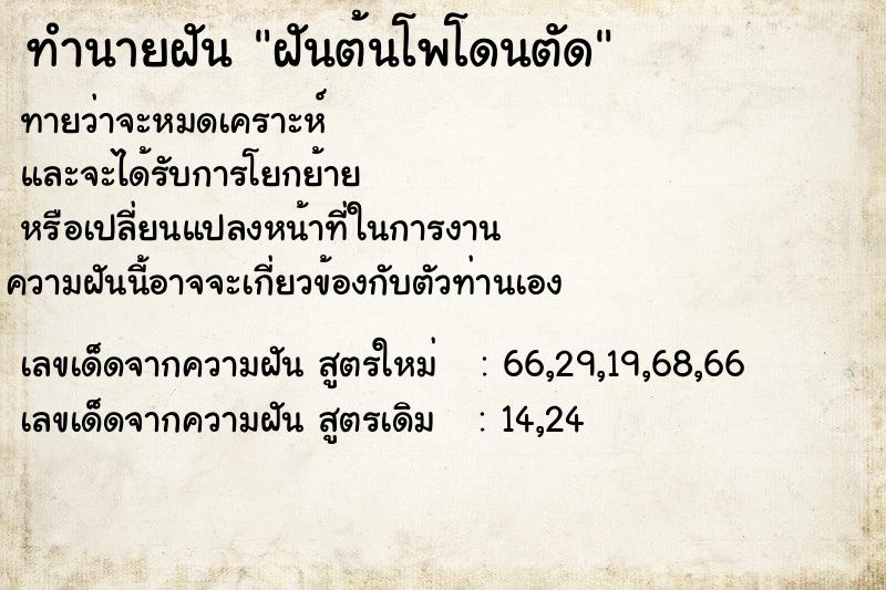 ทำนายฝันฝันต้นโพโดนตัด ทำนายฝันทำนายฝันฝันต้นโพโดนตัด