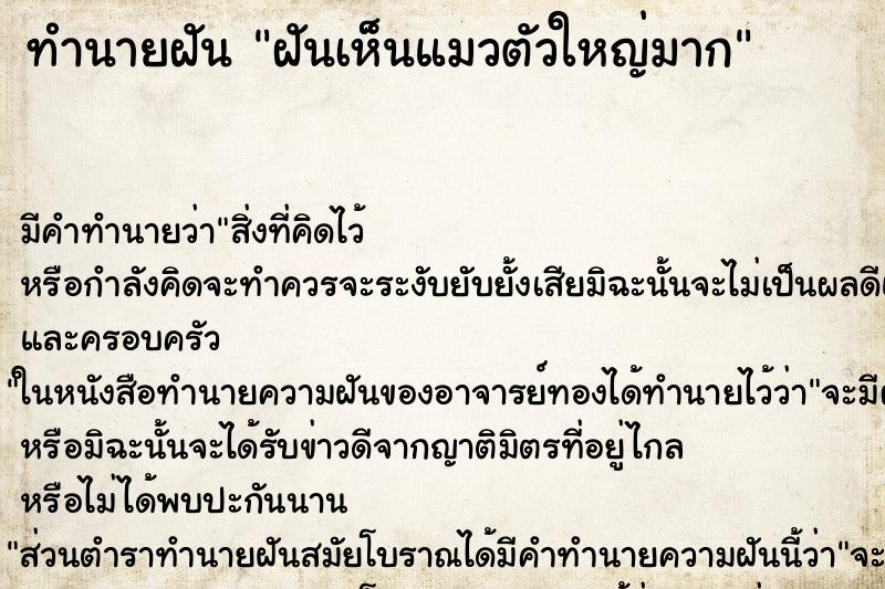 ทำนายฝัน ฝันเห็นแมวตัวใหญ่มาก ทำนายฝัน ฝันเห็นแมวตัวใหญ่มาก