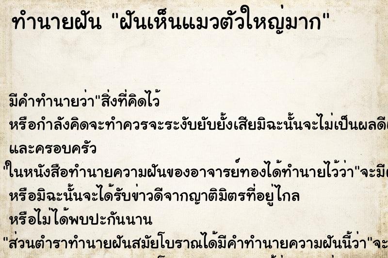 ทำนายฝัน ฝันเห็นแมวตัวใหญ่มาก ตำราโบราณ แม่นที่สุดในโลก