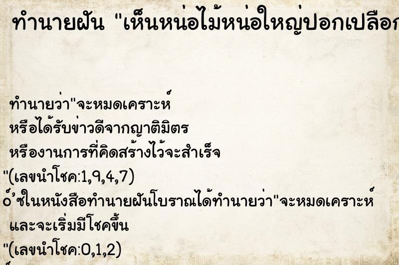 ทำนายฝัน เห็นหน่อไม้หน่อใหญ่ปอกเปลือกสีขาว ทำนายฝัน เห็นหน่อไม้หน่อใหญ่ปอกเปลือกสีขาว