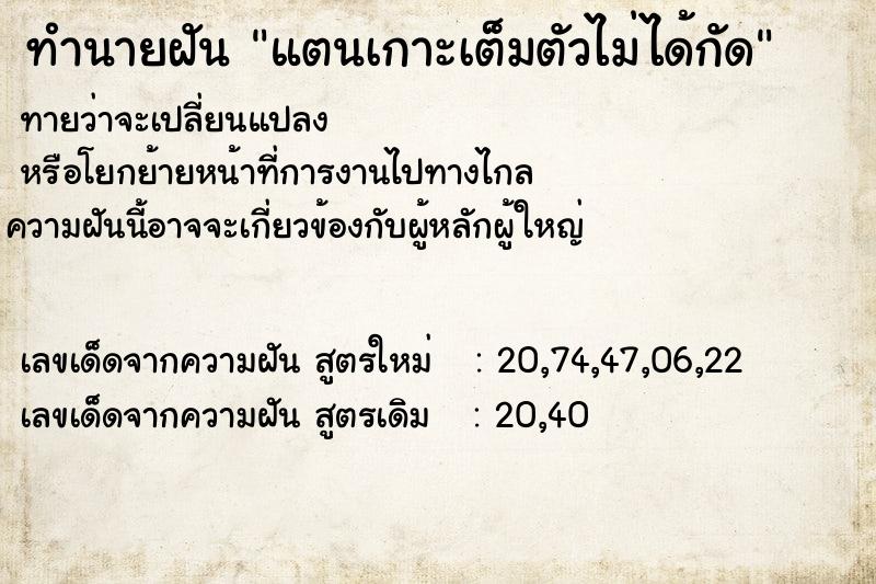 ทำนายฝัน แตนเกาะเต็มตัวไม่ได้กัด ทำนายฝัน แตนเกาะเต็มตัวไม่ได้กัด