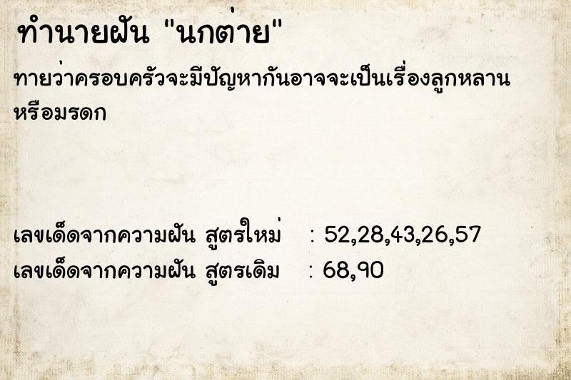 ทำนายฝันนกต่าย ทำนายฝันทำนายฝันนกต่าย