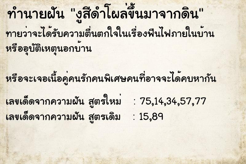 ทำนายฝันงูสีดำโผล่ขึ้นมาจากดิน ทำนายฝันทำนายฝันงูสีดำโผล่ขึ้นมาจากดิน