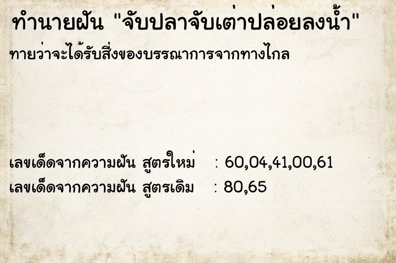 ทำนายฝันทำนายฝันจับปลาจับเต่าปล่อยลงน้ำ