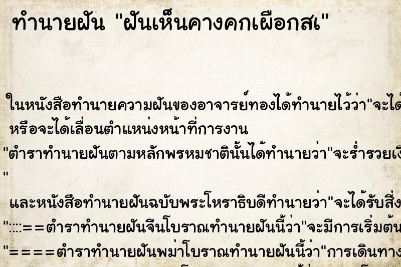 ทำนายฝันทำนายฝันฝันเห็นคางคกเผือกสà