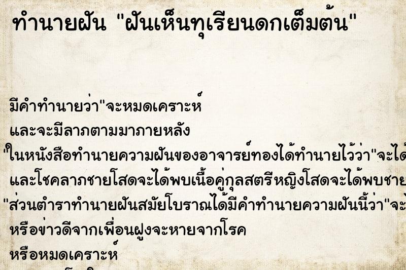 ทำนายฝัน ฝันเห็นทุเรียนดกเต็มต้น ทำนายฝัน ฝันเห็นทุเรียนดกเต็มต้น