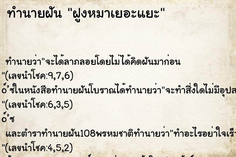 ทำนายฝันทำนายฝันฝูงหมาเยอะแยะ