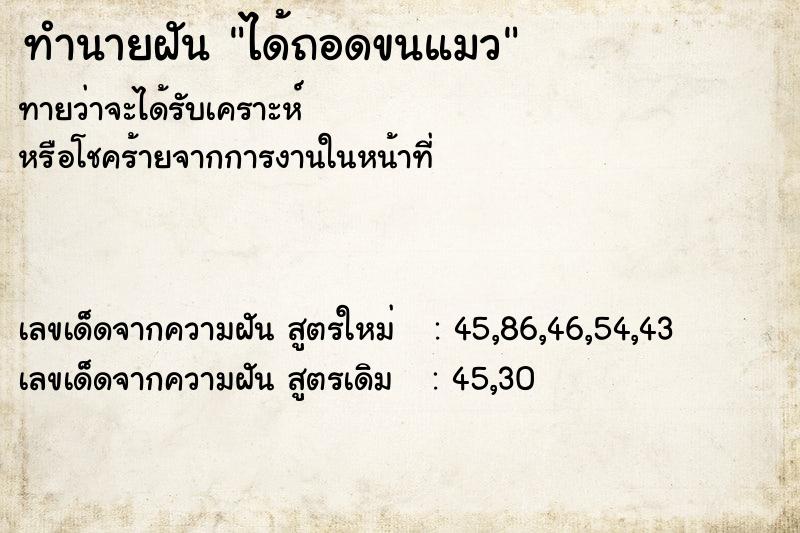 ทำนายฝันทำนายฝันได้ถอดขนแมว