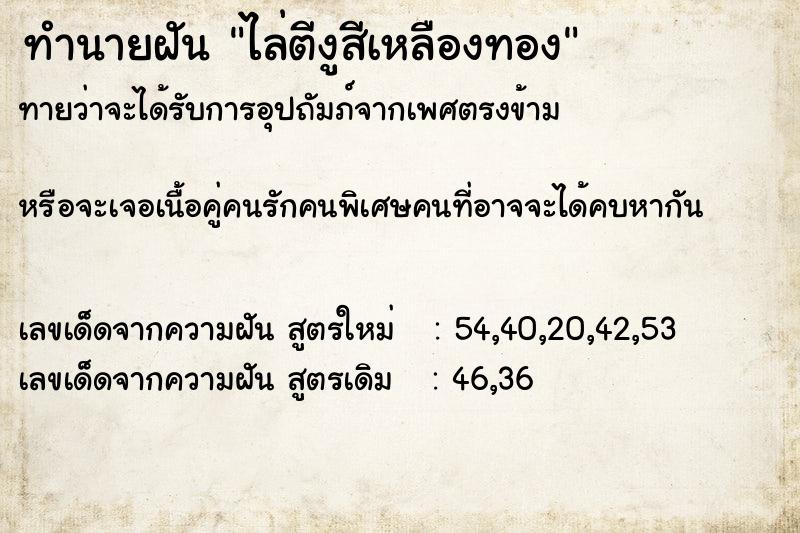 ทำนายฝันไล่ตีงูสีเหลืองทอง ทำนายฝันทำนายฝันไล่ตีงูสีเหลืองทอง