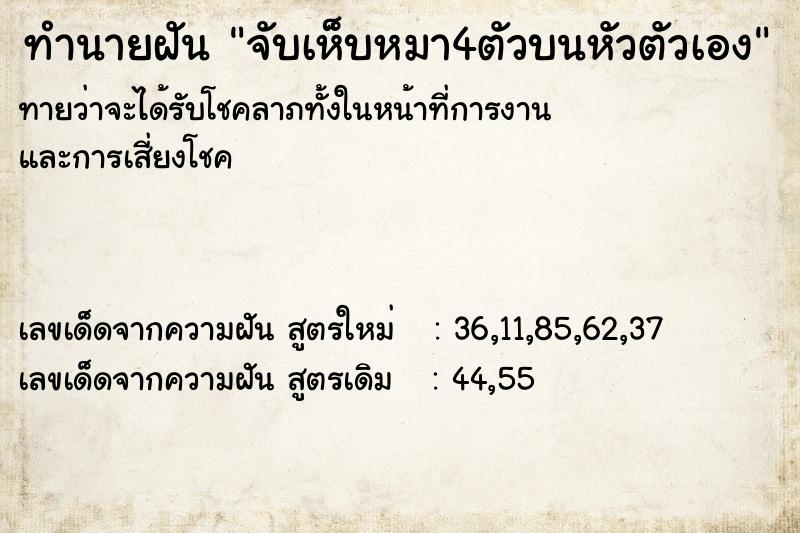 ทำนายฝันทำนายฝันจับเห็บหมา4ตัวบนหัวตัวเอง