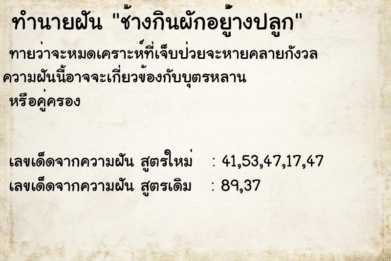 ทำนายฝันช้างกินผักอยู่้างปลูก ทำนายฝันทำนายฝันช้างกินผักอยู่้างปลูก