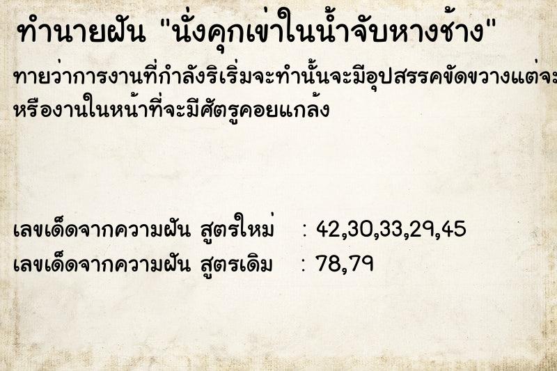 ทำนายฝันทำนายฝันนั่งคุกเข่าในน้ำ​จับหางช้าง