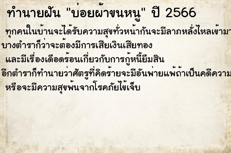 ทำนายฝัน บ่อยผ้าขนหนู ทำนายฝัน บ่อยผ้าขนหนู