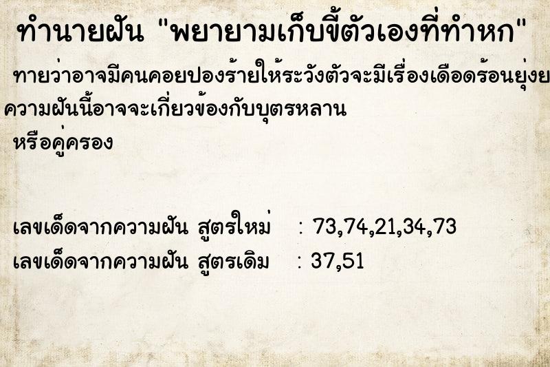 ทำนายฝันพยายามเก็บขี้ตัวเองที่ทำหก ทำนายฝันทำนายฝันพยายามเก็บขี้ตัวเองที่ทำหก