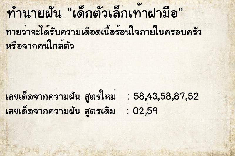 ทำนายฝันทำนายฝันเด็กตัวเล็กเท้าฝามือ