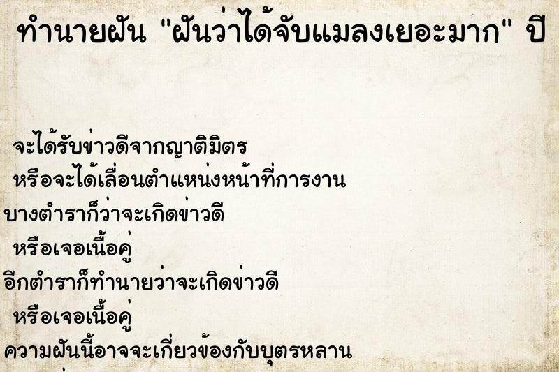 ทำนายฝันฝันว่าได้จับแมลงเยอะมาก ทำนายฝันทำนายฝันฝันว่าได้จับแมลงเยอะมาก