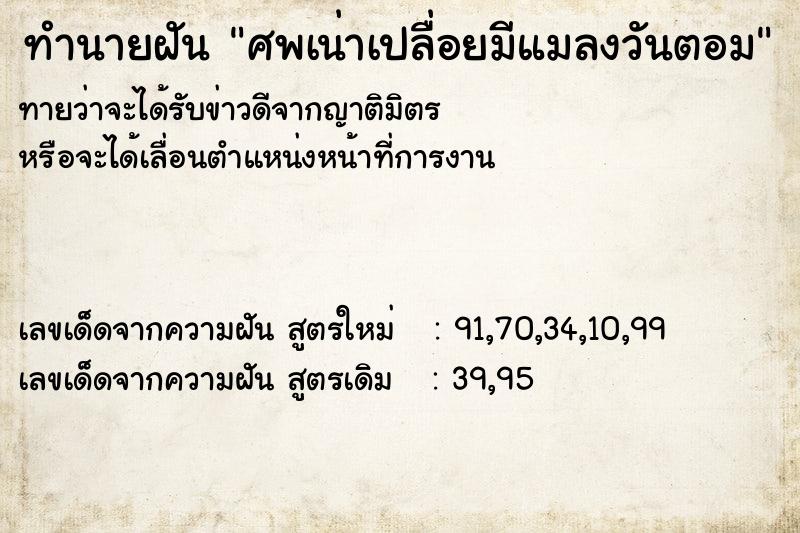 ทำนายฝันศพเน่าเปลื่อยมีแมลงวันตอม ทำนายฝันทำนายฝันศพเน่าเปลื่อยมีแมลงวันตอม