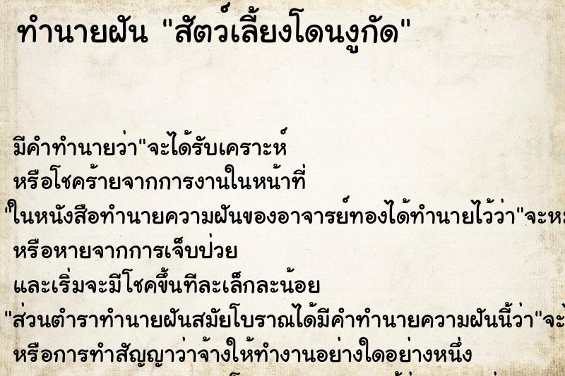ทำนายฝัน สัตว์เลี้ยงโดนงูกัด ทำนายฝัน สัตว์เลี้ยงโดนงูกัด