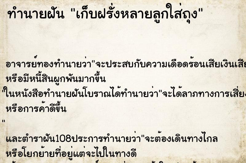 ทำนายฝัน เก็บฝรั่งหลายลูกใส่ถุง