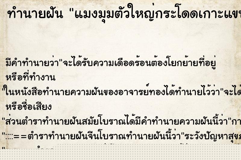 ทำนายฝันทำนายฝันแมงมุมตัวใหญ่กระโดดเกาะแขน