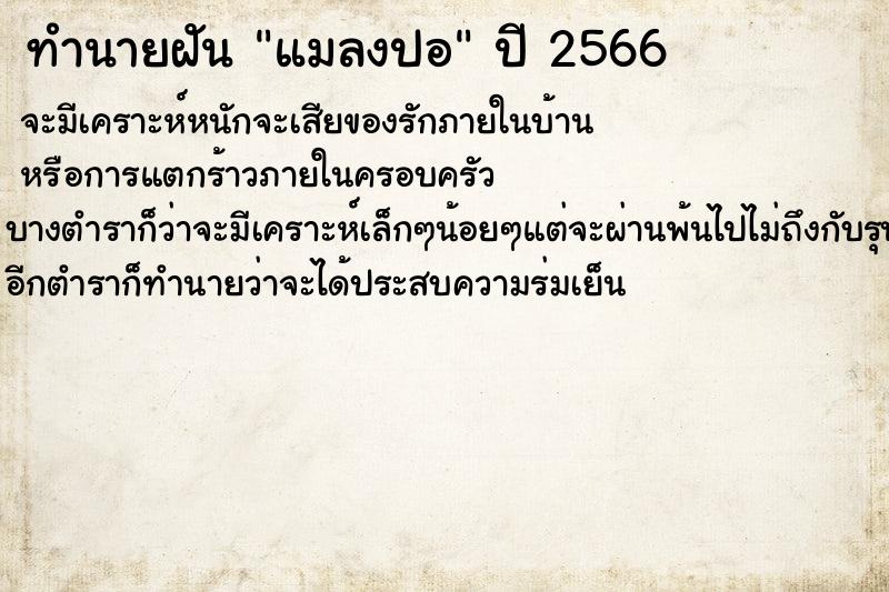 ทำนายฝัน แมลงปอ ทำนายฝัน แมลงปอ