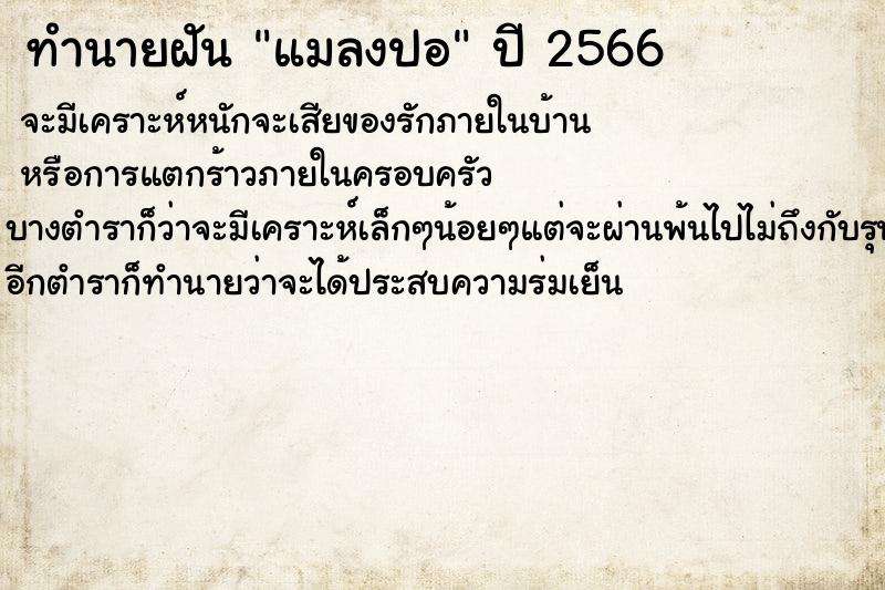 ทำนายฝัน แมลงปอ ตำราโบราณ แม่นที่สุดในโลก