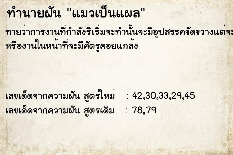 ทำนายฝัน แมวเป็นแผล