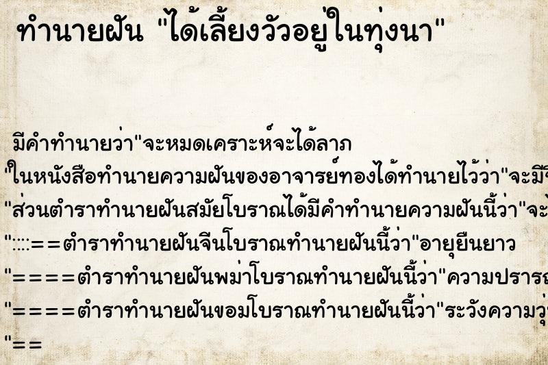 ทำนายฝันทำนายฝันได้เลี้ยงวัวอยู่ในทุ่งนา