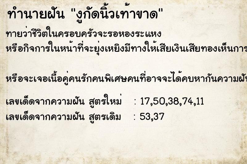 ทำนายฝันงูกัดนิ้วเท้าขาด ทำนายฝันทำนายฝันงูกัดนิ้วเท้าขาด