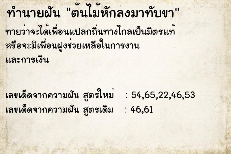 ทำนายฝันต้นไม้หักลงมาทับขา ทำนายฝันทำนายฝันต้นไม้หักลงมาทับขา