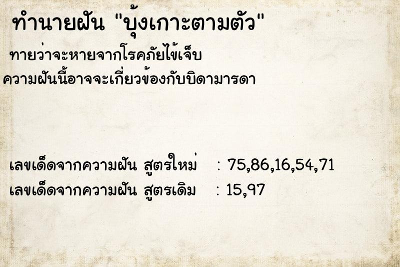 ทำนายฝัน บุ้งเกาะตามตัว ทำนายฝัน บุ้งเกาะตามตัว