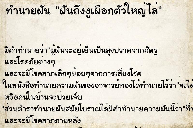 ทำนายฝันฝันถึงงูเผือกตัวใหญ่ไล่ ทำนายฝันทำนายฝันฝันถึงงูเผือกตัวใหญ่ไล่